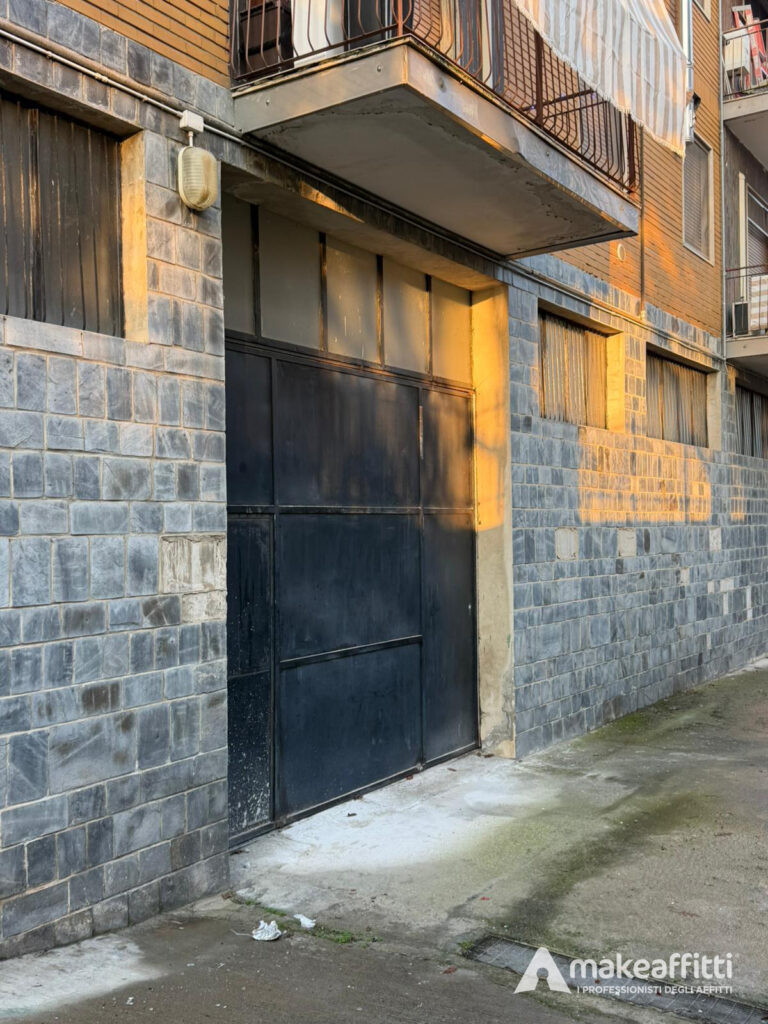 WhatsApp Image 2025-12-05 at 18.46.44