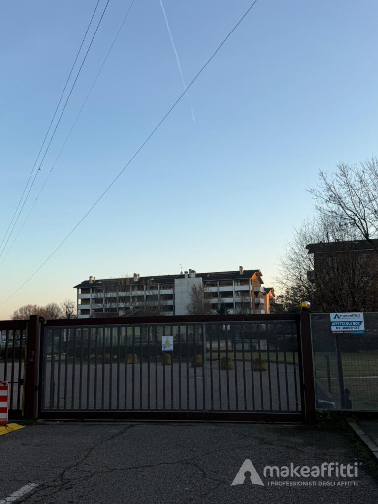 WhatsApp Image 2025-12-09 at 16.51.54