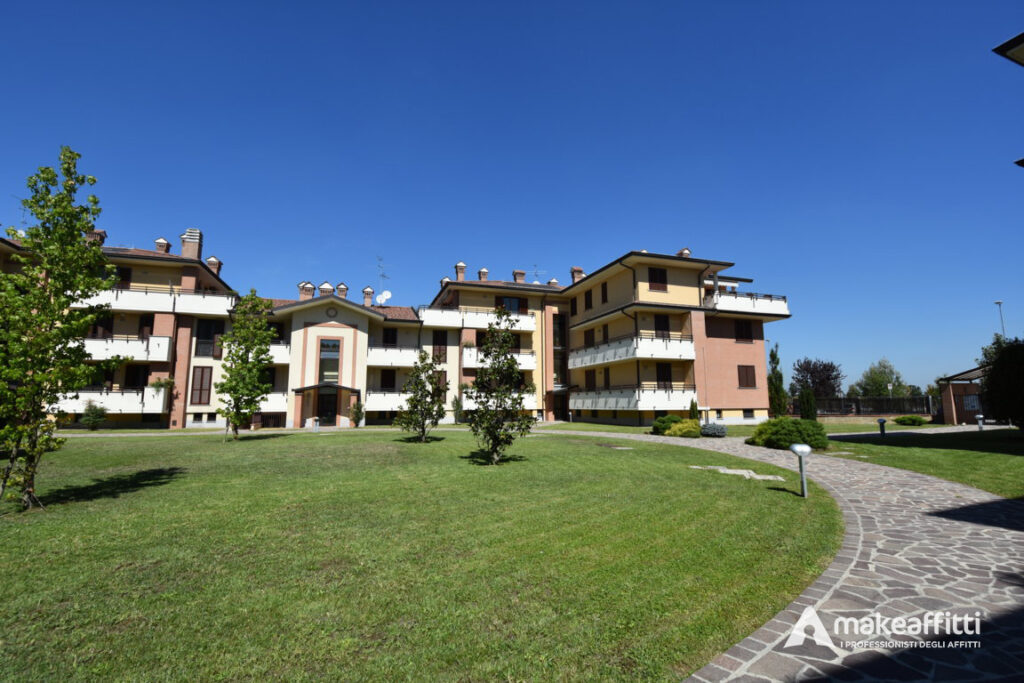 DSC_0015 (FILEminimizer)