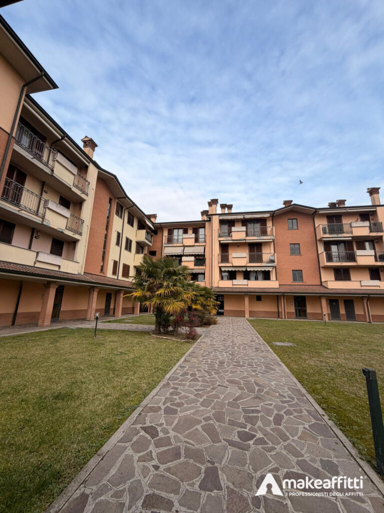 WhatsApp Image 2026-01-20 at 12.13.55